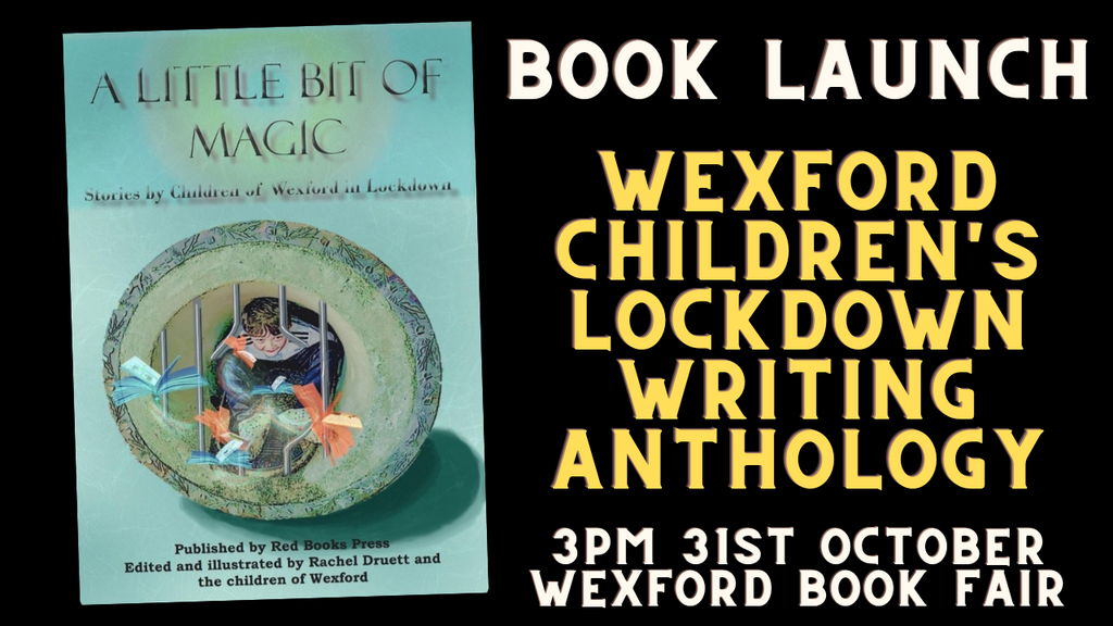 Wexford children’s lockdown experiences captured in new book