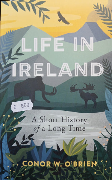 Life in Ireland: A Short History of a Long Time